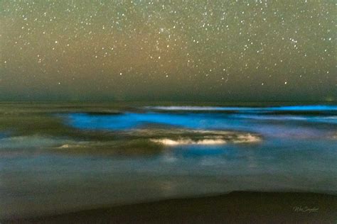 Waves, North Carolina